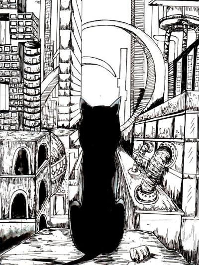 猫